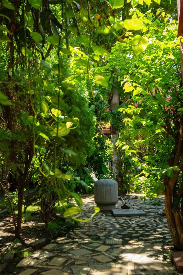 Hostal Lazybones León 外观 照片